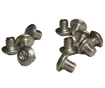 Stainless Steel Throttle Plate Screw 1/4" - Click Image to Close